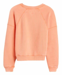Fade Sweatshirt Orange Bellerose Fashion Teen, Children 17 Fade Sweatshirt Orange Bellerose Fashion Teen, Children -Bellerose Elegant Shop fade sweatshirt orange bellerose fashion teen children 8